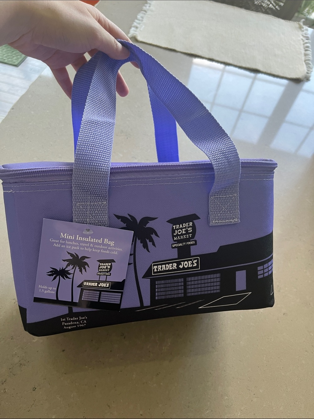 Trader Joe's Purple Mini Insulated Bag
